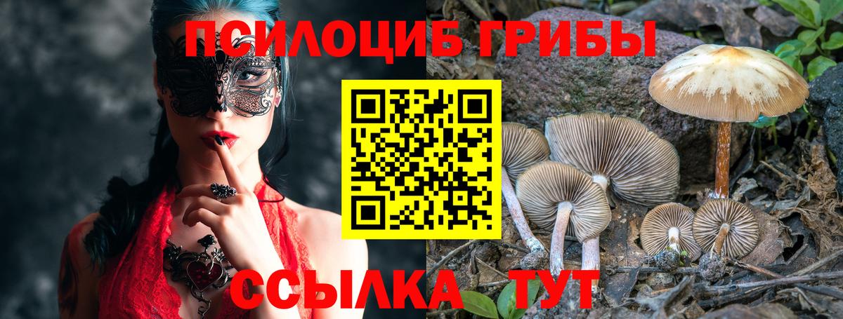 Большой Камень  Галлюциногенные грибы Psilocybine cubensis  Вход с VPN 
