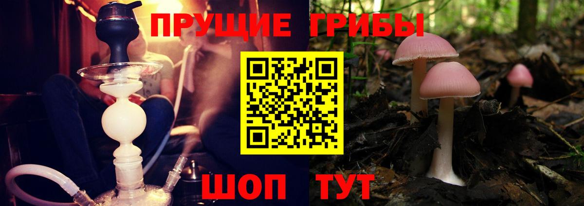 Галлюциногенные грибы Cubensis Большой Камень
